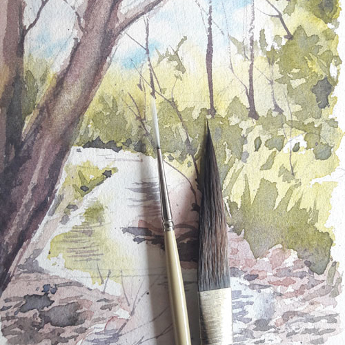 What Watercolor Brushes Do I Need? Solving Watercolour