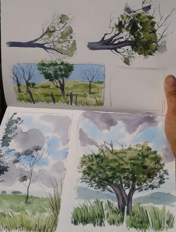 Watercolour sketchbook tree studies 