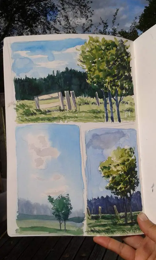 Watercolour sketchbook tree studies