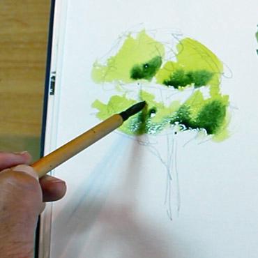 How to Paint A Tree with Watercolor Pencil 