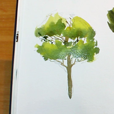 How To Paint Trees In Watercolor Solving Watercolour - How To Paint A Tree With Watercolor Easy