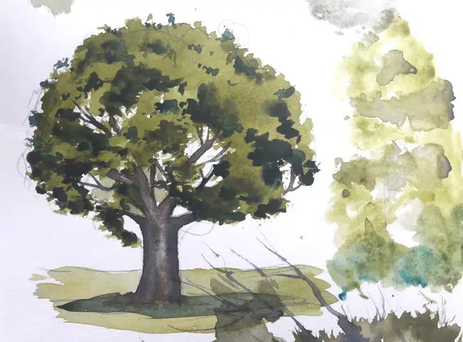 How To Paint Trees In Watercolor Solving Watercolour - How To Paint A Tree With Watercolor Easy