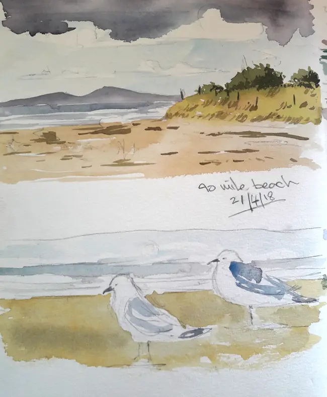 Watercolour Sketchbook. Seagulls on 90 mile beach 