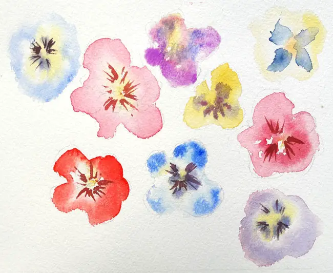 Loose watercolour pansies