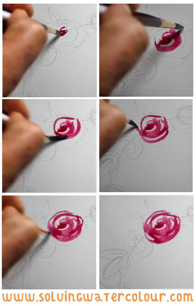 Painting a rose in watercolour step by step