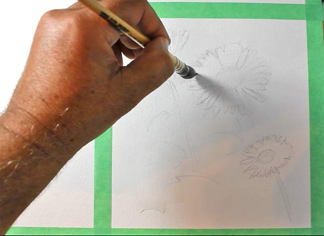 Watercolour Daisies Step 1