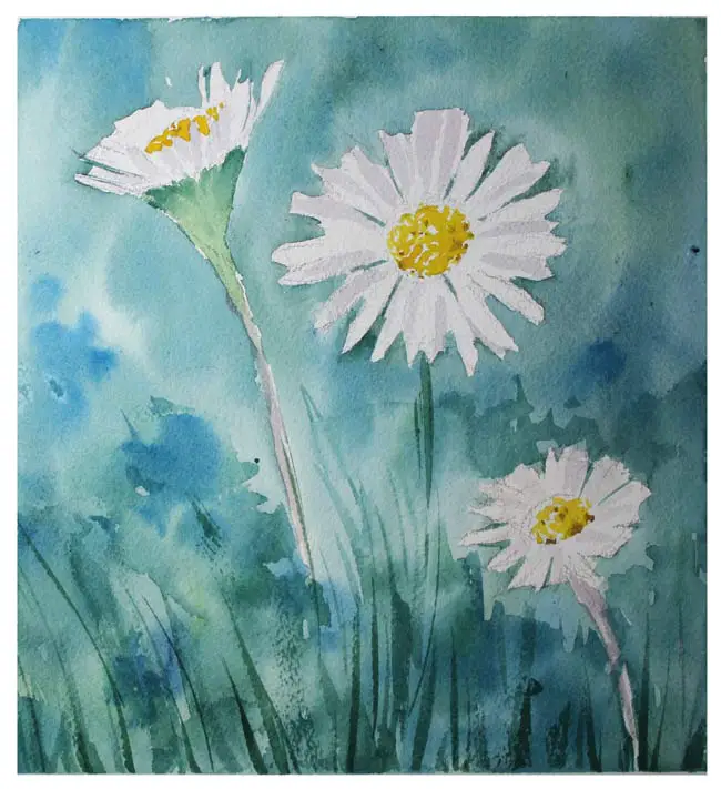 Watercolour daisy painting