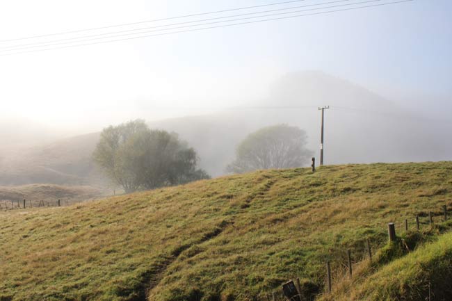Misty watercolour Landscape reference photo
