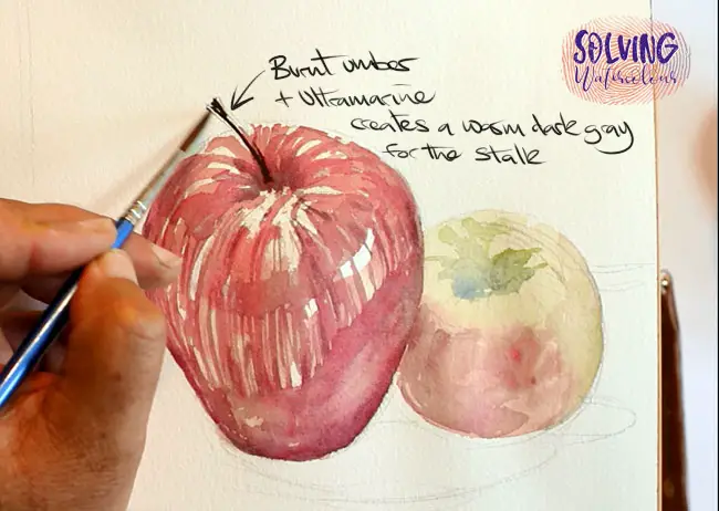 Painting the apple stalk with a mix of ultramarine and burnt umber