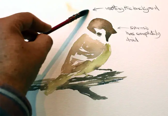 Painting A watercolour bird step 5. Wetting the background