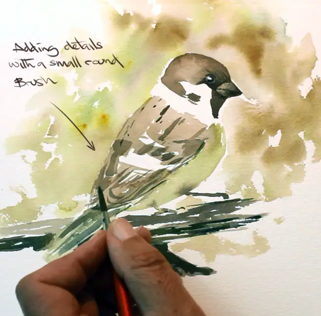 Painting A watercolour bird step 7. Painting the final details