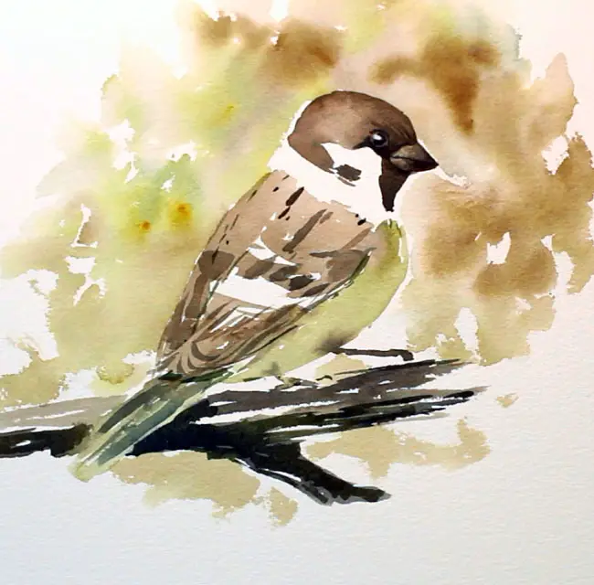 How To Paint Loose Watercolour Birds 001 Final Sparrow painting