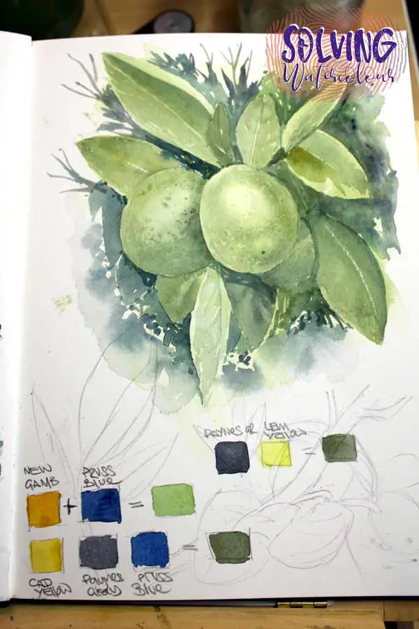 Sketchbook page of watercolour Limes 