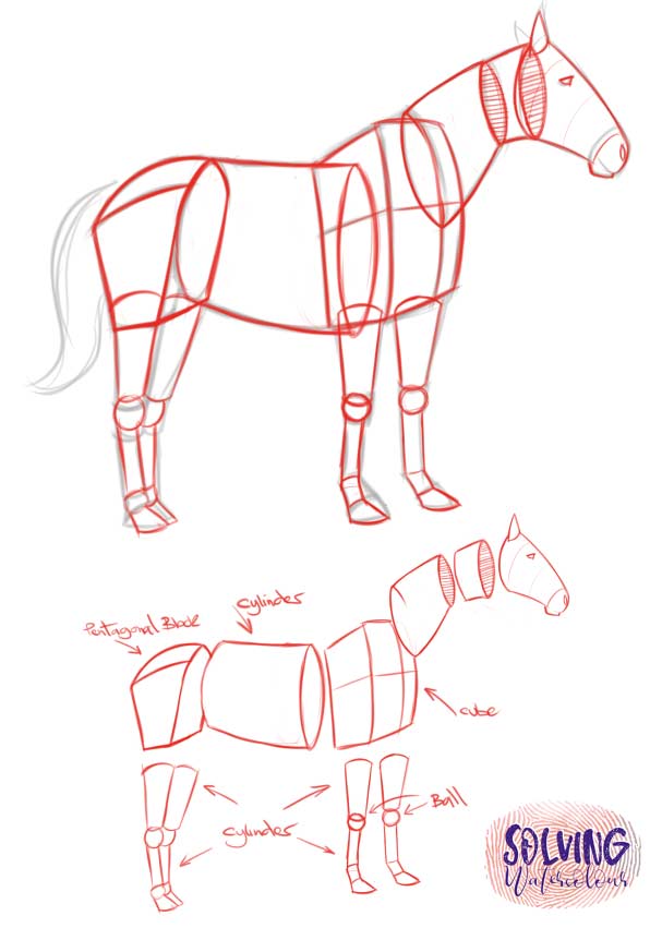 Simplifying a horse's anatomy drawing