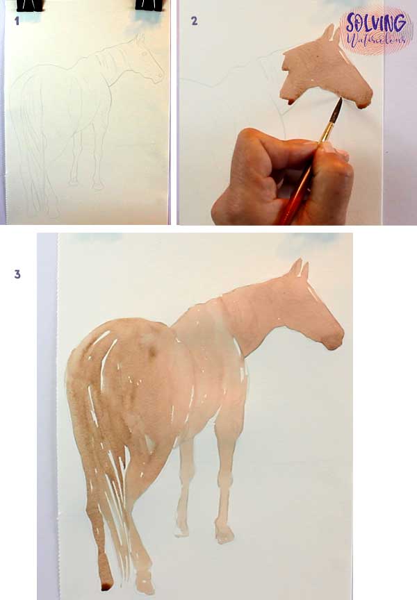 How To Paint A Watercolor Horse step1