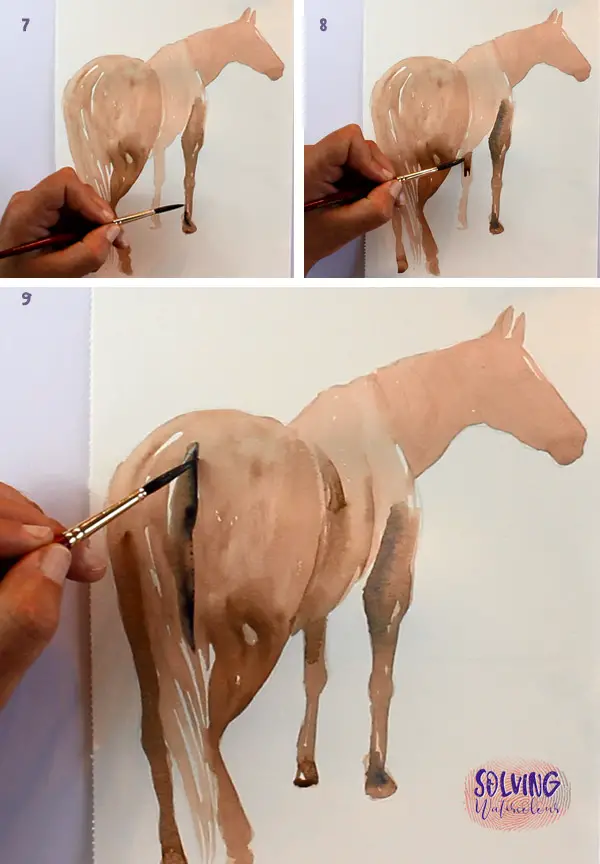 How To Paint A Watercolor Horse step 3