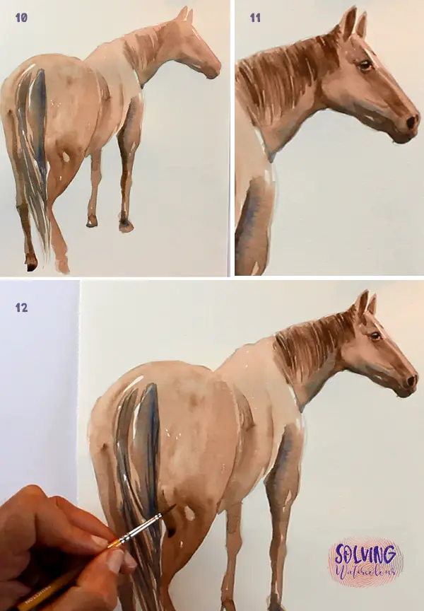 How To Paint A Watercolor Horse step 4