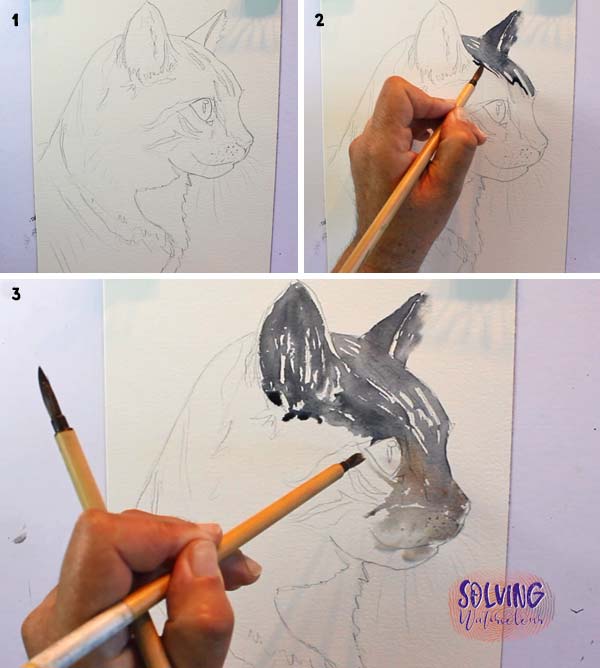 How To Paint A Cat In Watercolor: Reference photo: Initial wash