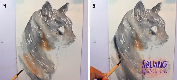 How To Paint A Cat In Watercolor: Reference photo: Steps 4-5