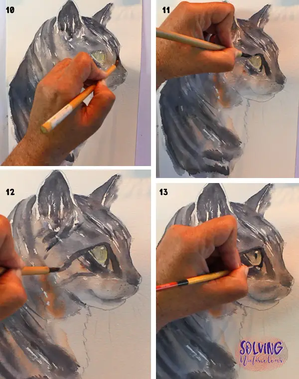 How To Paint A Cat In Watercolor: Reference photo: Painting realistic eyes