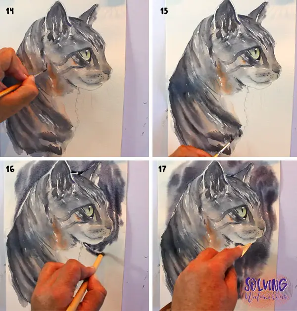 How To Paint A Cat In Watercolor: Reference photo: Painting fur
