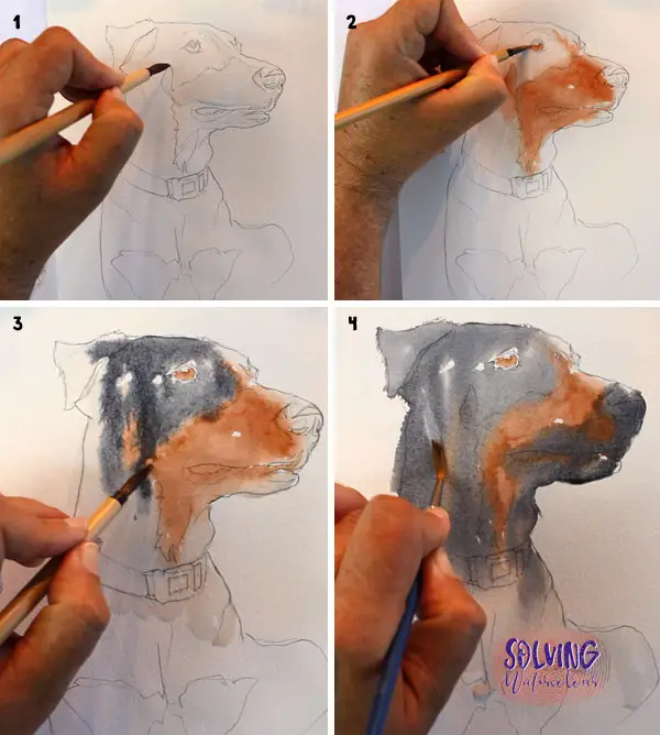 How To Paint A Dog In Watercolor Steps 1 - 4