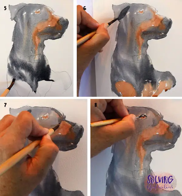 How To Paint A Dog In Watercolor Steps 5 - 8