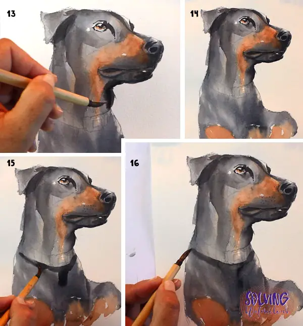 How To Paint A Dog In Watercolor Steps 13 - 16