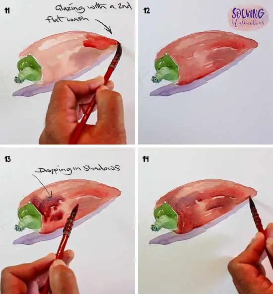 Red Pepper in Watercolor Steps 11-14