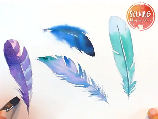 how to paint watercolor feathers final image