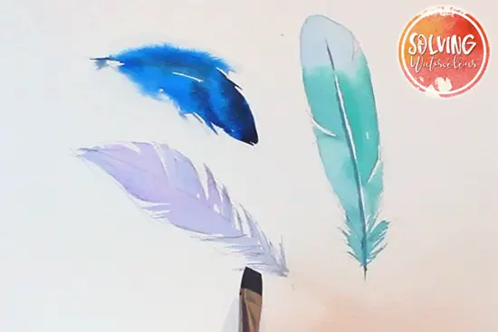 how to paint watercolor feathers 009
