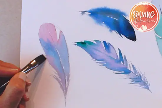 how to paint watercolor feathers 013