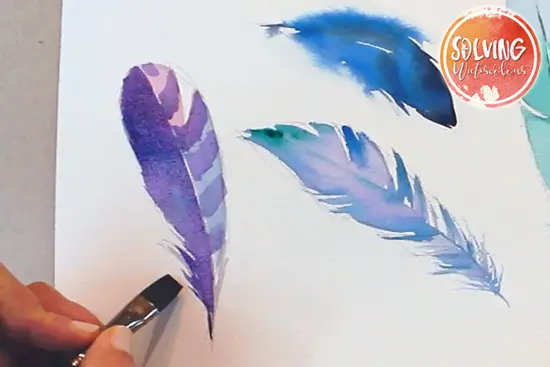 how to paint watercolor feathers 015