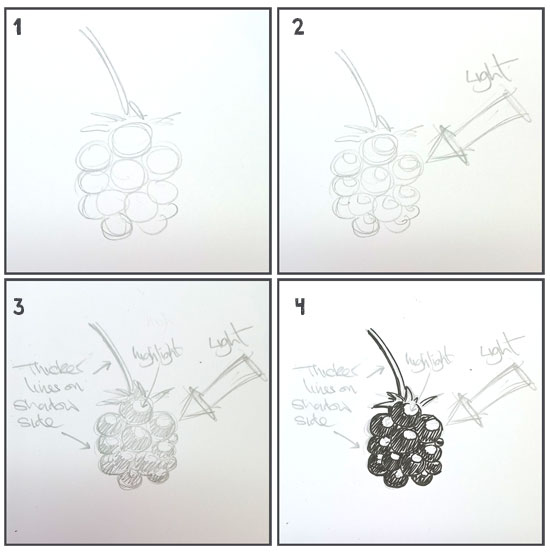 how to draw a blackberry